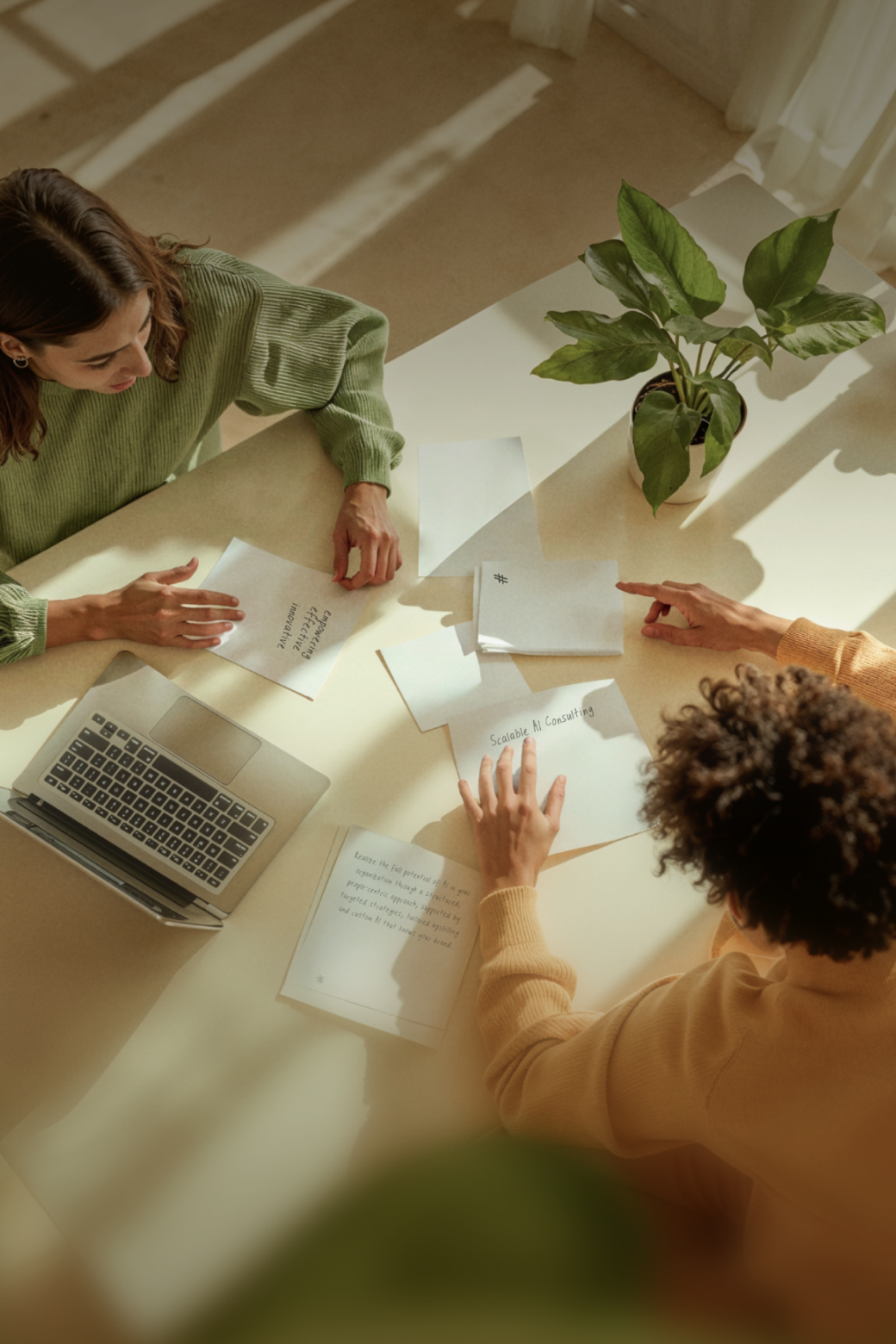 Store Setup & Design